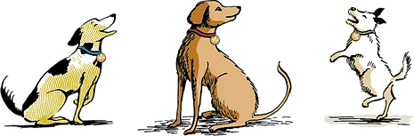 Chestmutt_dogs x3 with tags.png