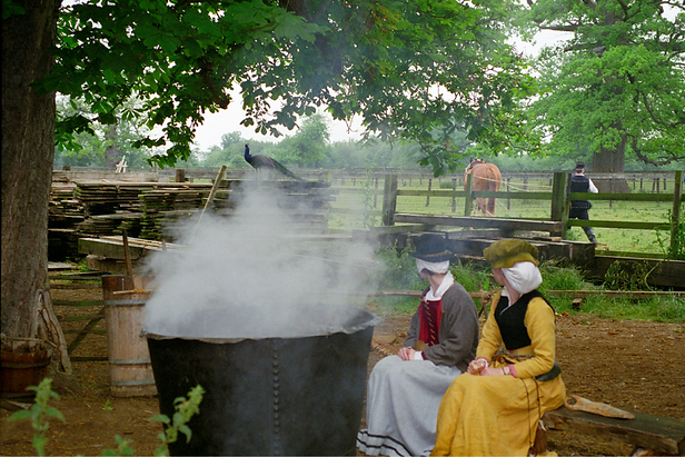 The Black Lion | Kentwell