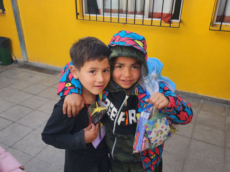 Voluntariado escolar