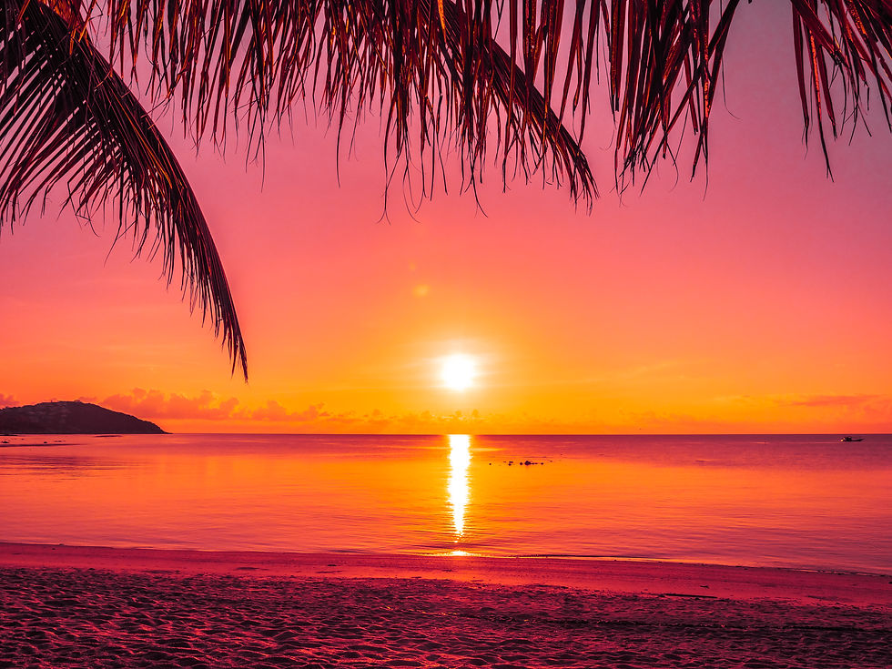 beautiful-tropical-beach-sea-ocean-with-coconut-palm-tree-sunrise-time-2.jpg