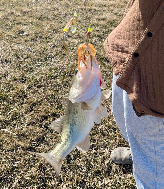 Thumbnail: BASS BULLETS
