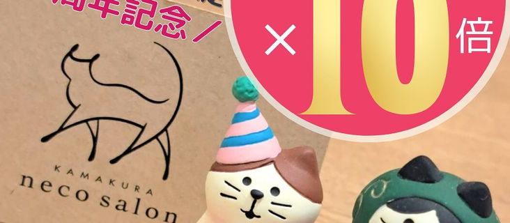 セレオ国分寺店限定 1周年記念☆ポイント10倍 ☆