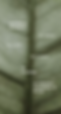 lecturas (800 x 1500 px) (7).png