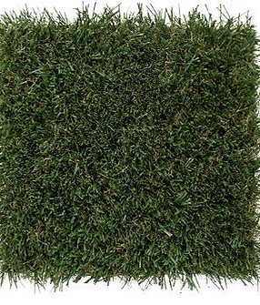 Edge XP Grass Photo.PNG