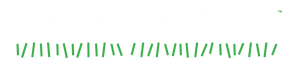PlaygroundGrass - Reverse_edited.png
