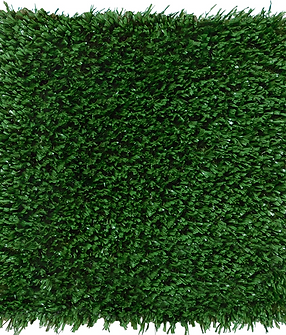 SportsGrass Arena Photo.PNG