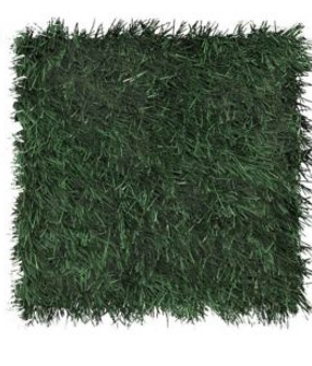 Rush Grass Photo.PNG