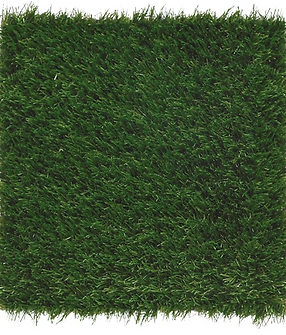 Renew Grass Photo.PNG