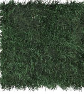 Rush XP Grass Photo.PNG