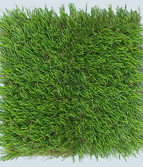 LM70 Grass Photo.PNG