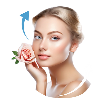 Main Banners_Layer2-02.png