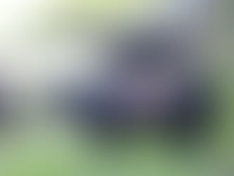 Retour en images sur l'inalpe 2021