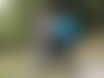 La désalpe de Prunelle-:)