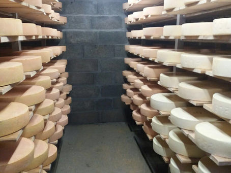 La désalpe se prépare !!!