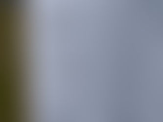 Journal des luttes du 23 juillet 2014