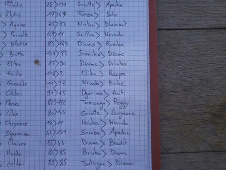 Les luttes du 6 juillet 2015