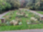 Jackwood House Garden - October 2025