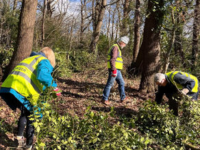 Woodland Conservation