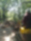 Lower Path jack Wood June 9th 2023.jpg