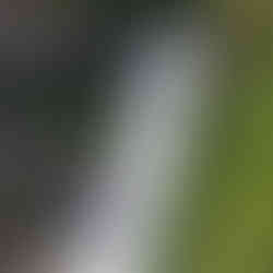 Lost Lake Park in Whistler is a year‑round outdoor haven, offering sandy beaches and swimming in summer, plus cross‑country skiing and snowshoeing in winter—all just minutes from Whistler Village.