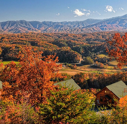 Fall In The Smokies.jpg