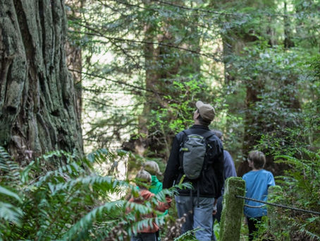 Where to hike in Klamath: 5 Yurok Country Hikes for All Skill Levels