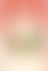 The front of a gift with all the mascots and the 'Eureka for the Holidays' logo. There is a spot near the bottom to write 'to' and 'from'.