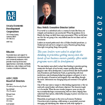 The front cover of the 2020 annual report.