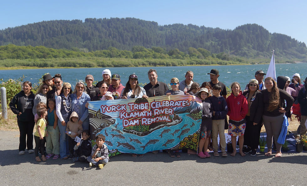 Group of people celebrating by the Klamath River with a banner reading "Yurok Tribe Celebrates Klamath River Dam Removal." Forested hills in background.