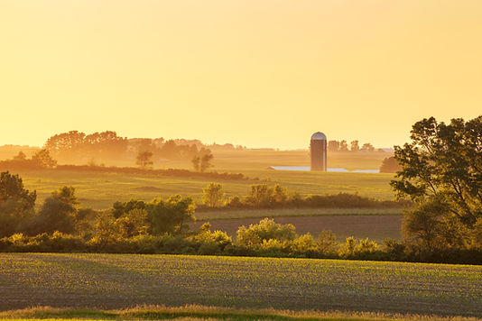 Iowa farmland at sunset with green fields, trees, and a silo under a golden sky.