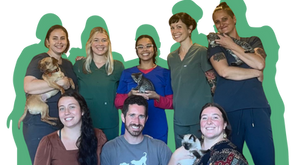 The HSSN posed for a picture with dogs and kittens.