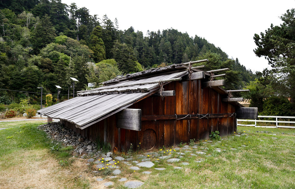 Traditional Yurok house at the Yurok Discovery Village, made from redwood planks and Douglas fir poles, set in a forested area.