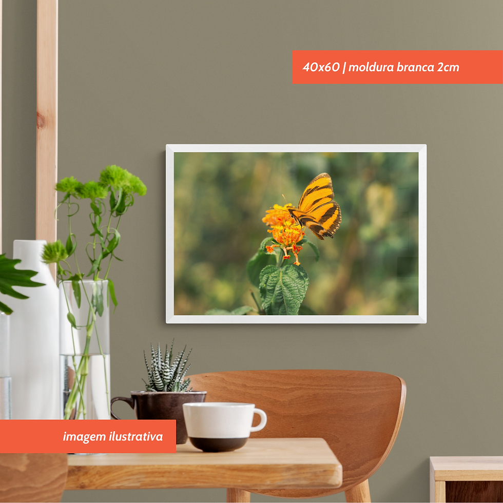 Miniatura: Milagre Amarelo | Quadro Fotográfico