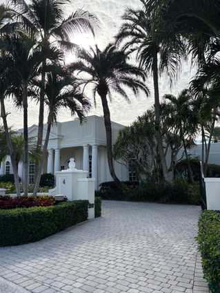 Palm Beach for the New Year