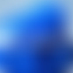 Se Nos Viene (Ya llegó!) Windows 11