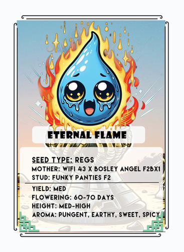Eternal Flame | Cmg Trading Cards