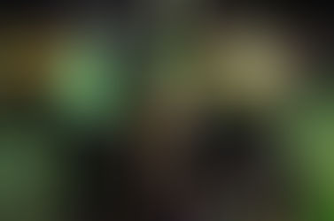 Los antecedentes de Peñarol y Fénix en el Estadio Campeón del Siglo