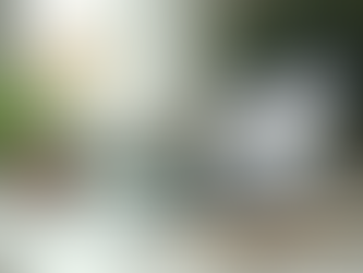 Transition Services and Advocacy 