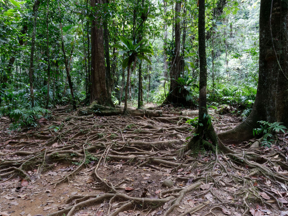 Kroftplotz Matthias Hirsch - Fernpunkte TCM