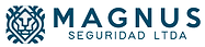 Magnus Seguridad.png