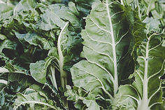 Swiss Chard