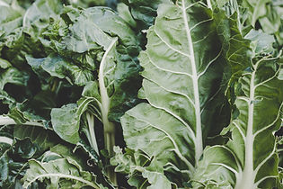 Ayurveda-inspired soup of greens, excellent for easing Kapha and Pitta imbalances.