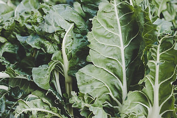 Swiss Chard