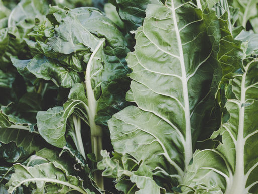 The Health Benefits of Chard