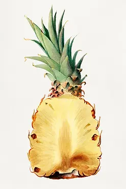 insidepineapple.webp