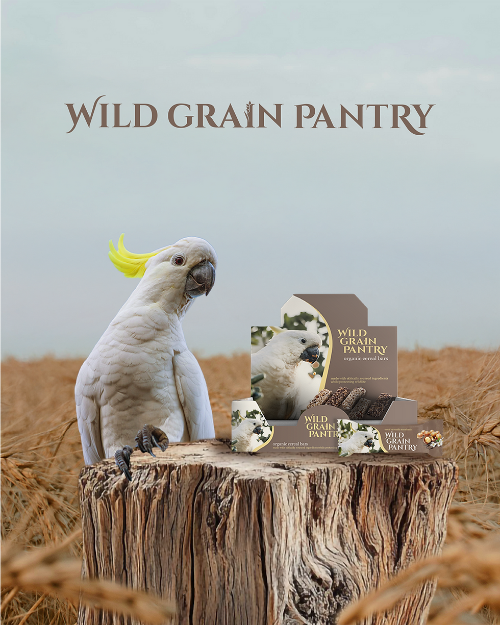Wild Grain Pantry branding