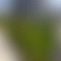 KUŞADASI/GÜZELÇAMLI SATILIK 3+1 VİLLA 8.500.000 ₺