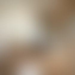 Transform Your Kitchen with JZ Contracting's Expertise