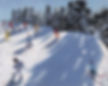 Fresh Snow