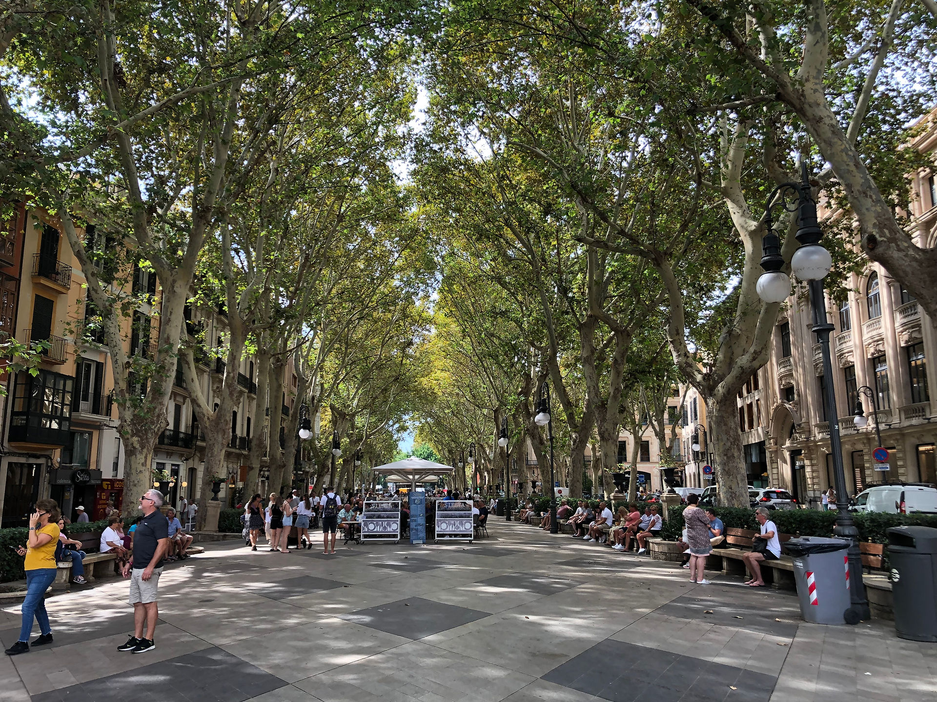 Passeig del Born - Palma de Majorca, Sp